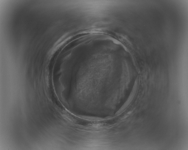 X0000063520295200602032117