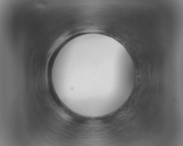 X0000063520296200602032117