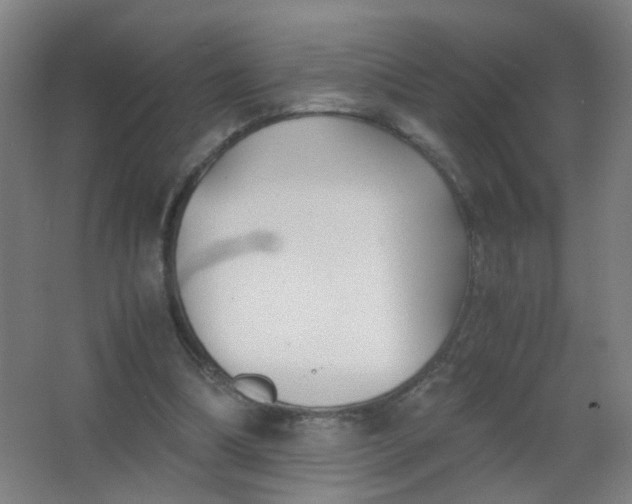 X0000063520298200602032117