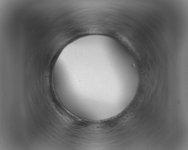 X0000063520299200602032117