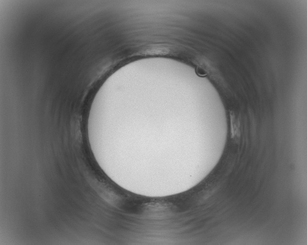 X0000063520300200602032117