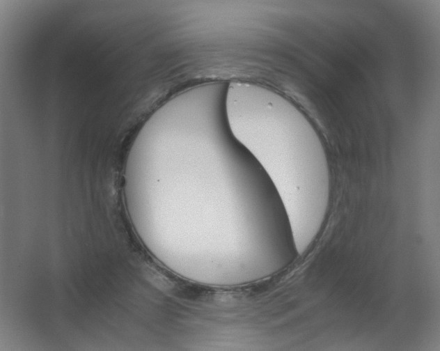 X0000063520305200602032117