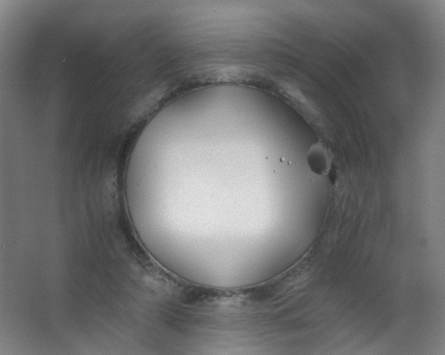 X0000063520306200602032117