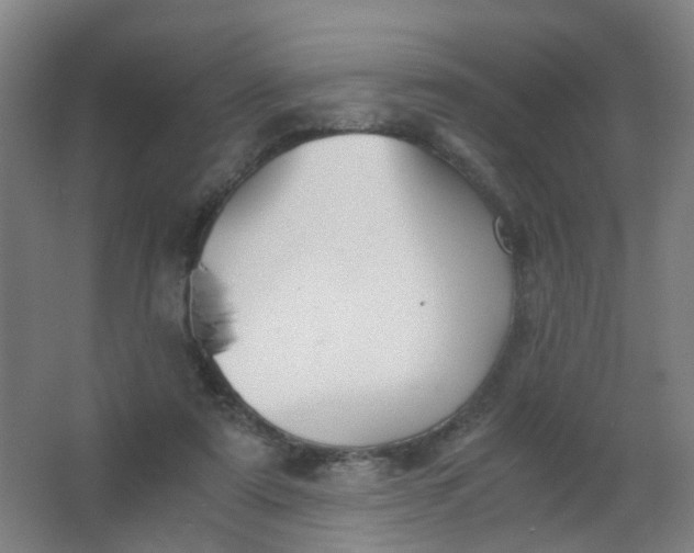 X0000063520307200602032117