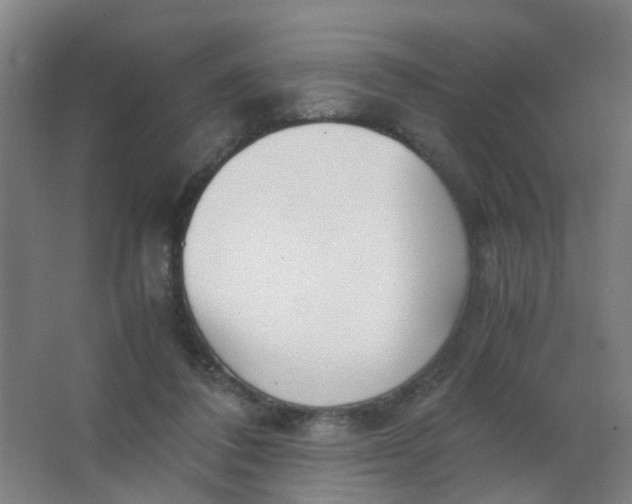 X0000063520308200602032117