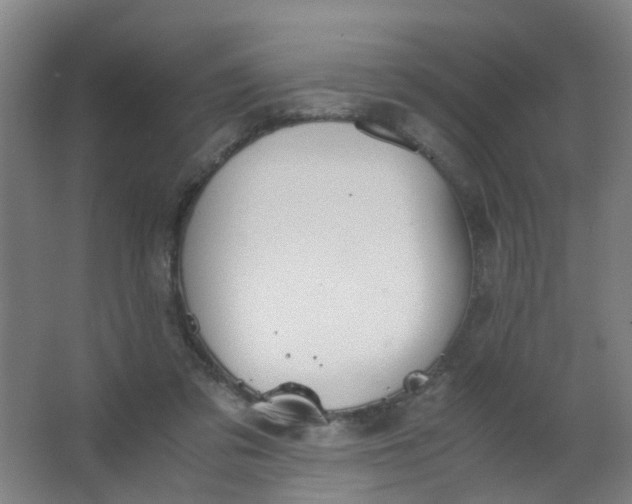 X0000063520309200602032117