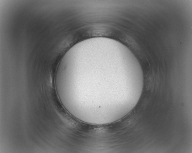 X0000063520310200602032117