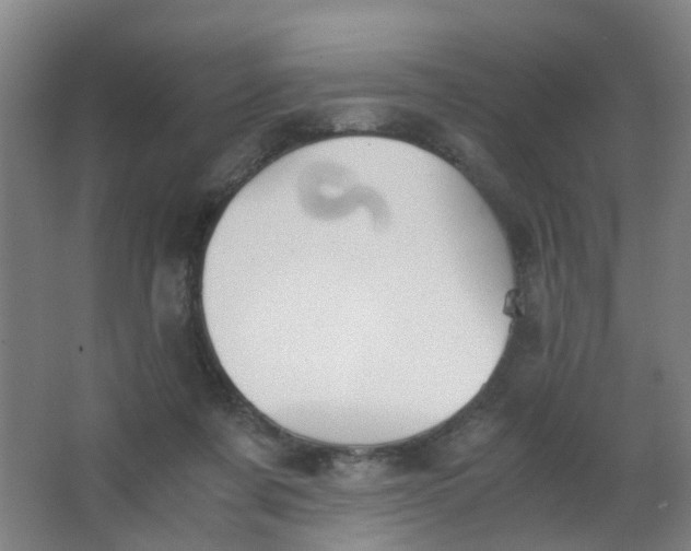 X0000063520311200602032117