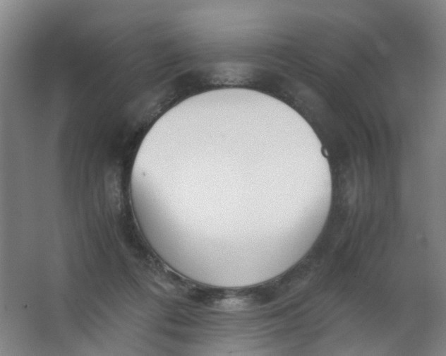 X0000063520312200602032117