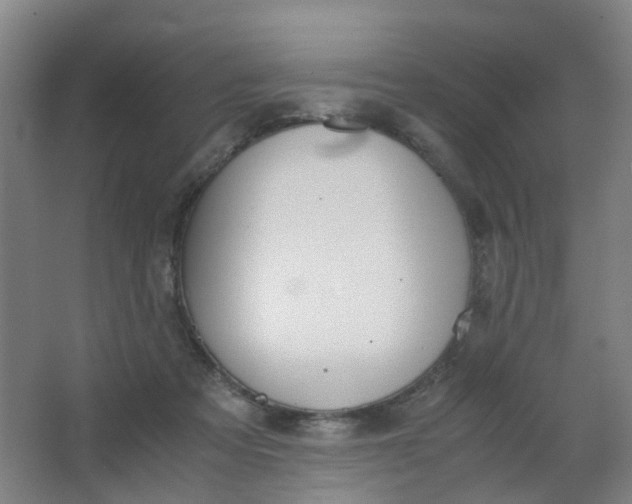 X0000063520313200602032117