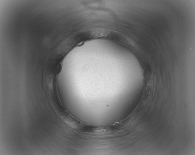 X0000063520315200602032117