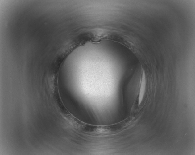 X0000063520319200602032116