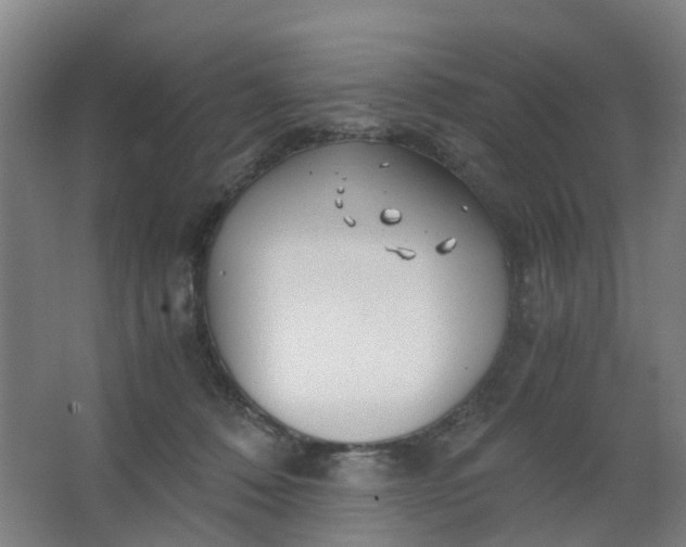 X0000063520320200602032116