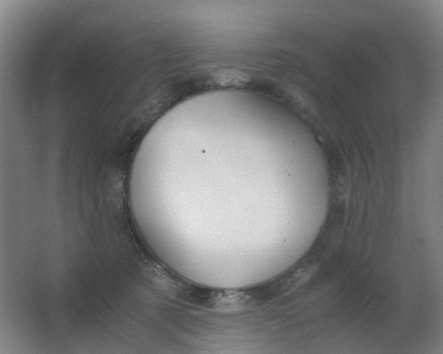 X0000063520321200602032116