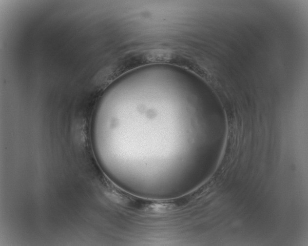 X0000063520323200602032116