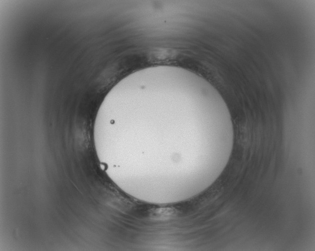 X0000063520324200602032116