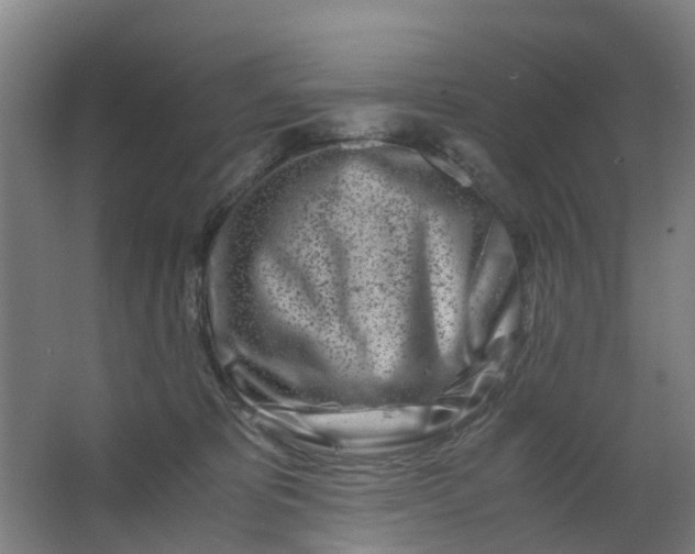 X0000063520325200602032116