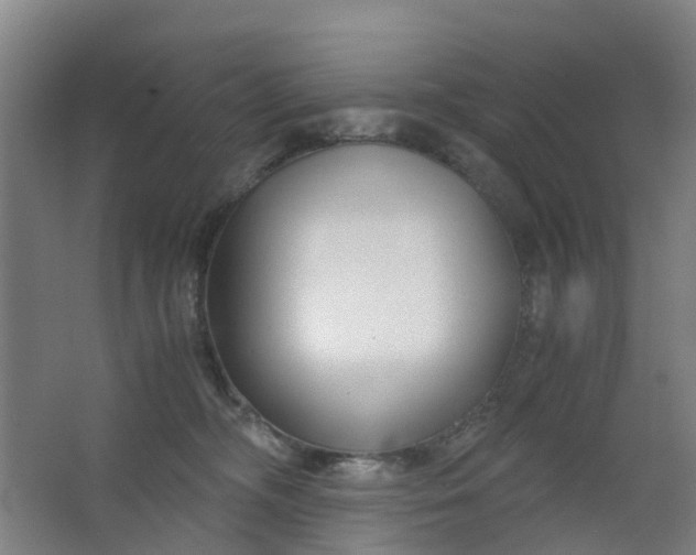 X0000063520326200602032116