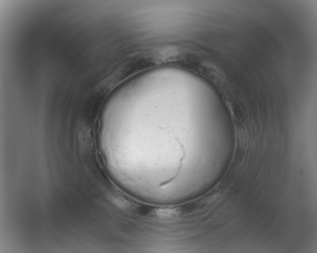 X0000063520327200602032116