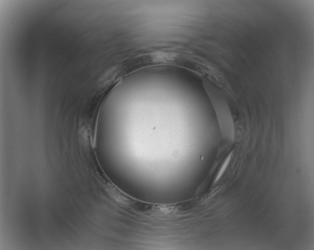 X0000063520329200602032116