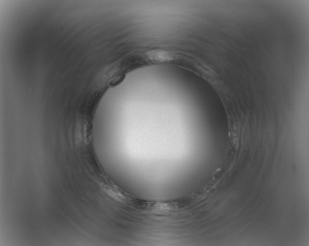 X0000063520330200602032116