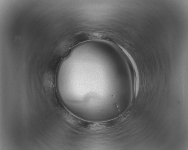 X0000063520331200602032116