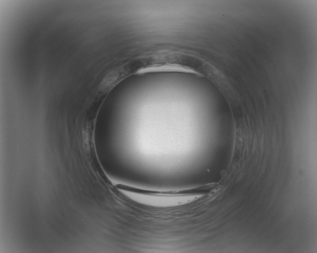 X0000063520333200602032116