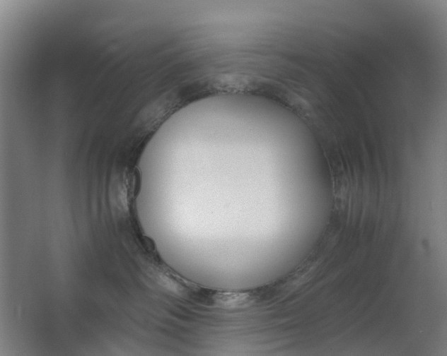 X0000063520334200602032116