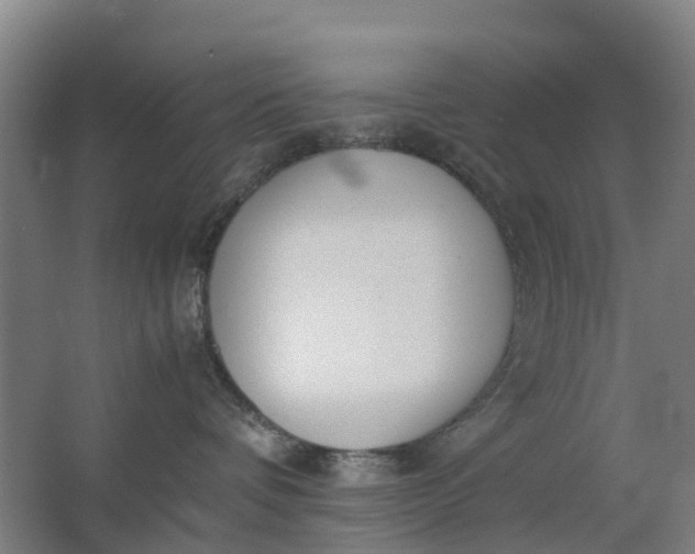 X0000063520336200602032116