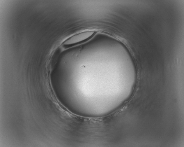 X0000063520337200602032115