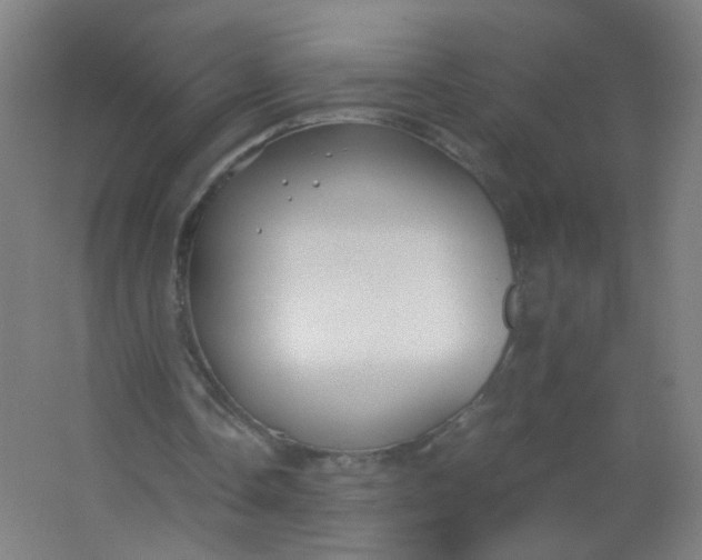 X0000063520338200602032115