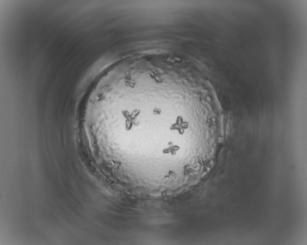 X0000063520339200602032115