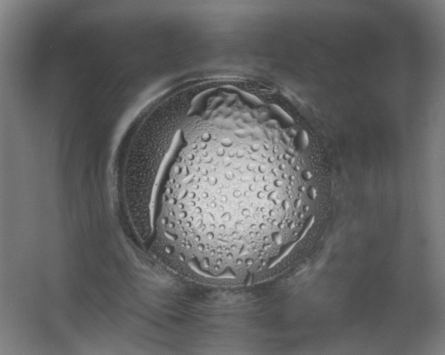 X0000063520343200602032115