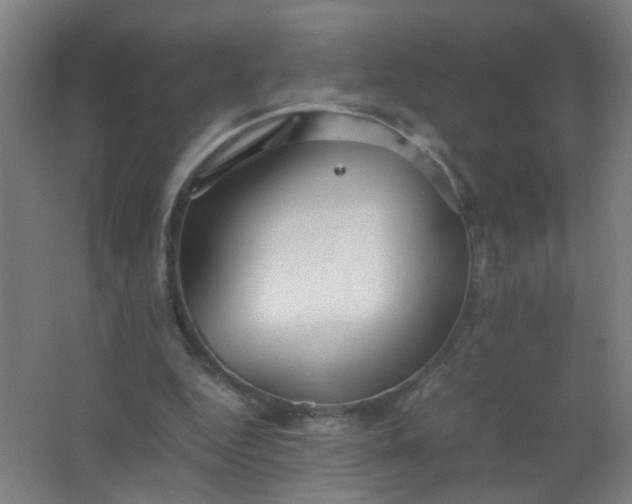 X0000063520344200602032116