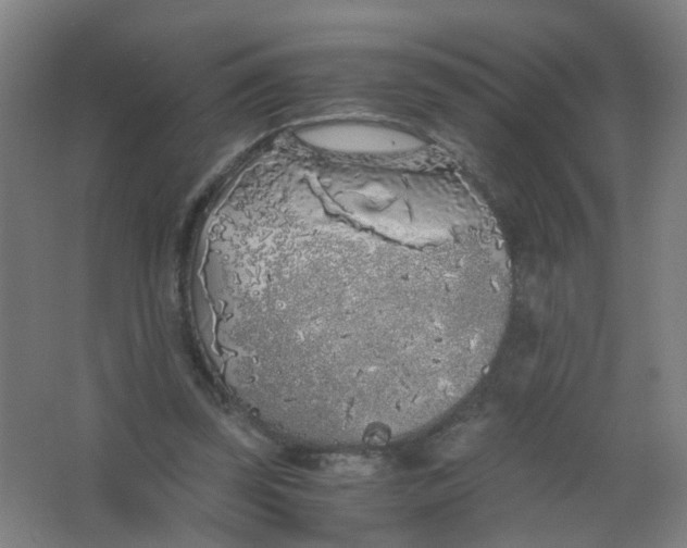 X0000063520347200602032116