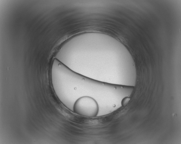 X0000063520349200602032116