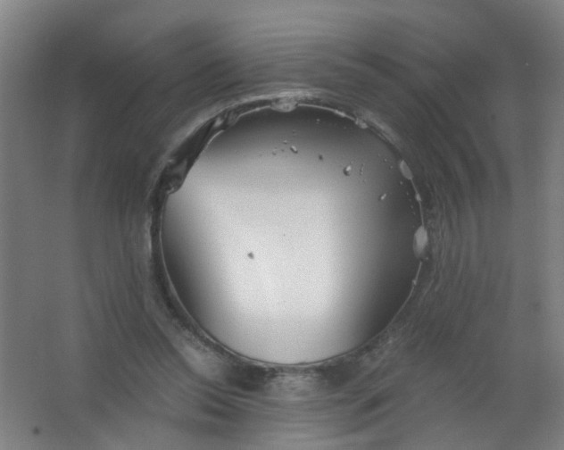 X0000063520350200602032116