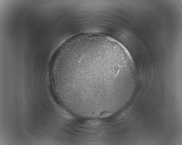 X0000063520351200602032116