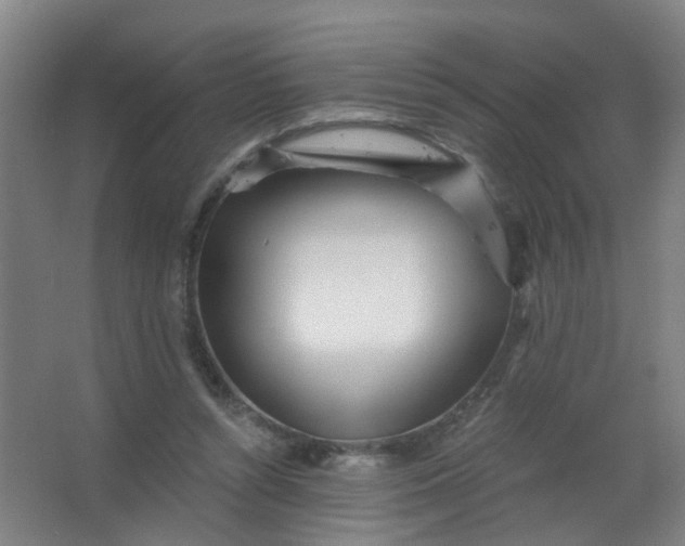 X0000063520352200602032116