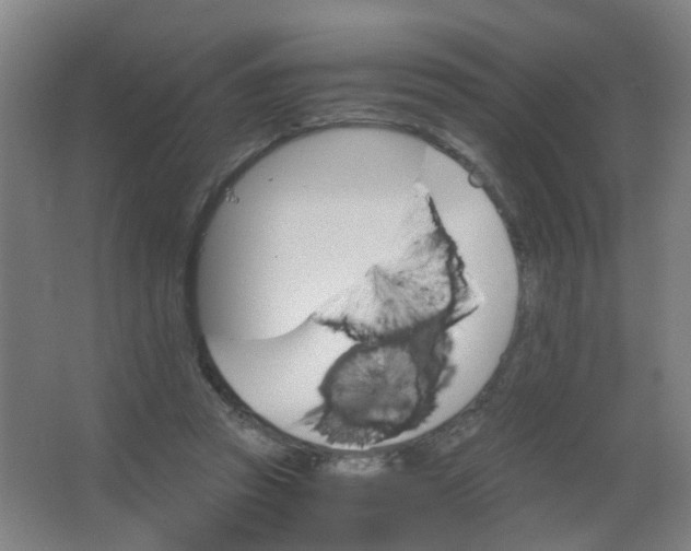 X0000063520353200602032116