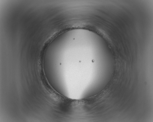 X0000063520354200602032116