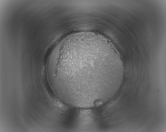 X0000063520355200602032116