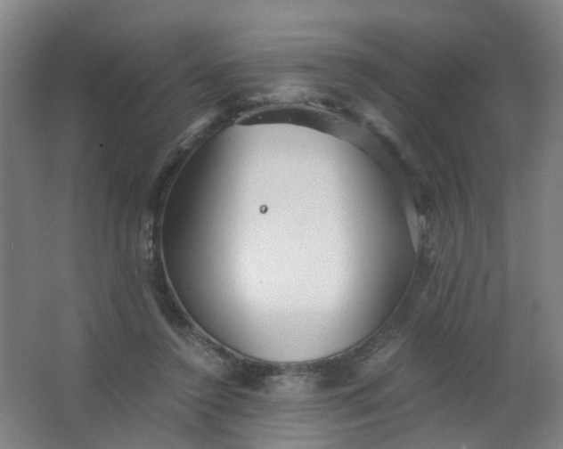 X0000063520356200602032116