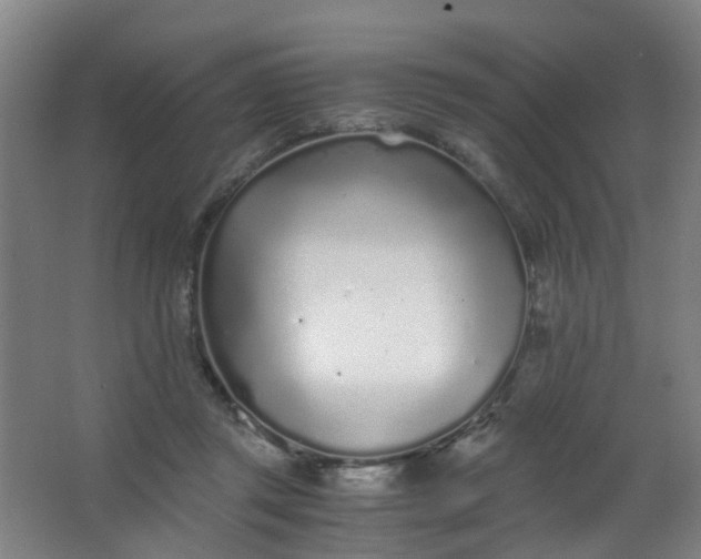 X0000063520357200602032116