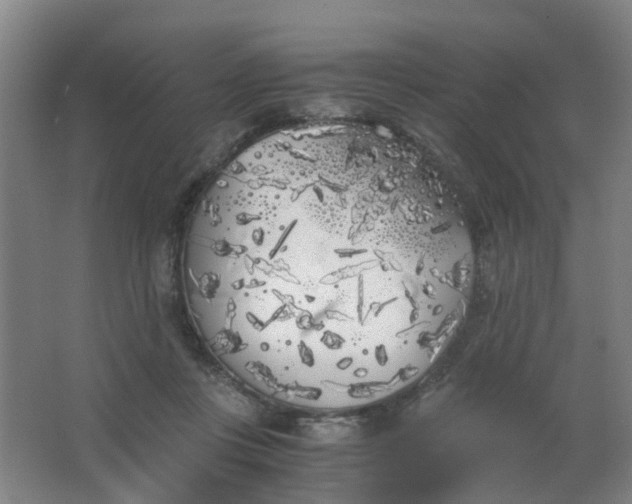 X0000063520359200602032116