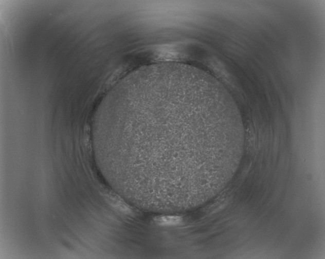 X0000063520361200602032116