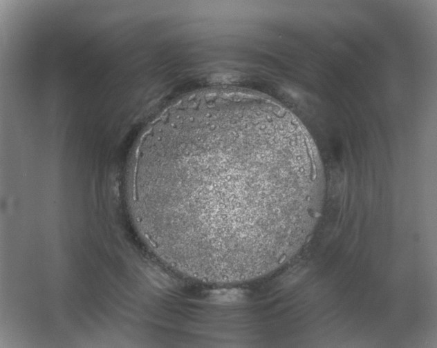 X0000063520363200602032116