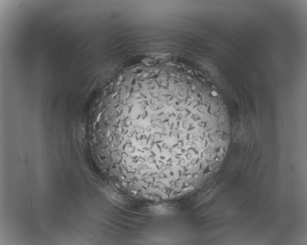 X0000063520365200602032116