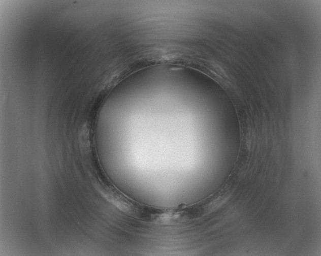 X0000063520366200602032116