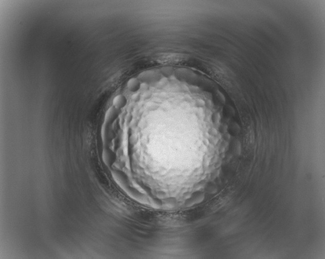 X0000063520367200602032116